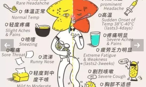 环流行是什么中药材料网 - 网站提供环流分型小常识、环流的四种方式