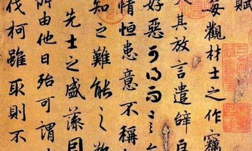 环留行是什么中药-环流行是什么中药材料网 - 网站提供环流分型小常识、环流的四种方式